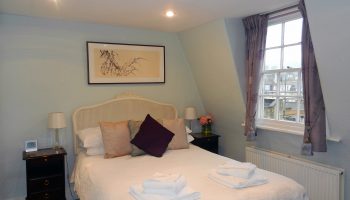 brocks purple curtains