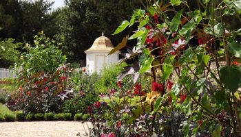 american museum garden