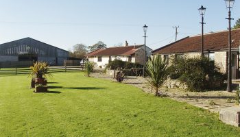 horseshoe cottage gardens