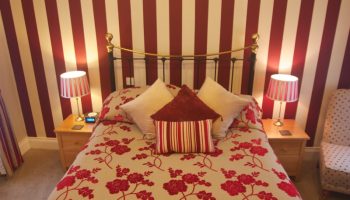 chestnuts stripe red front