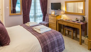 chestnuts double side